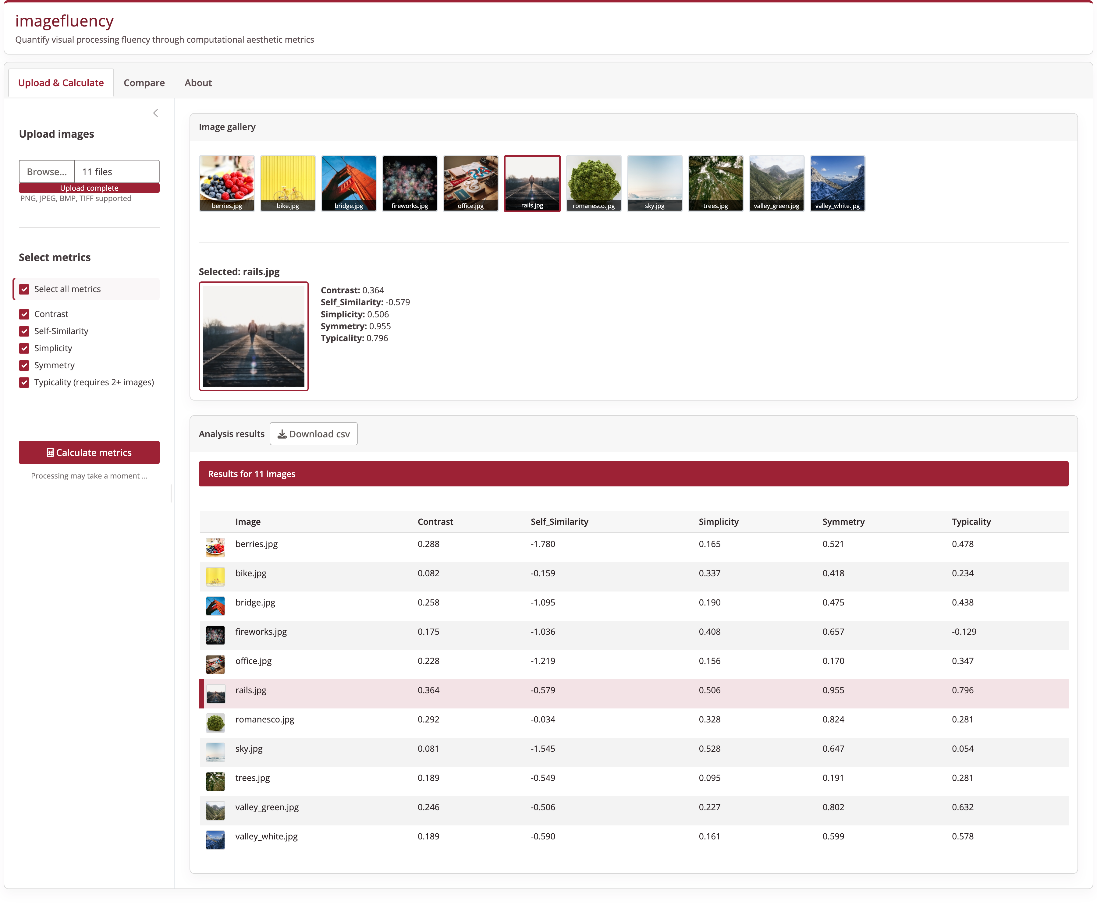 screenshot imagefluency dashboard
